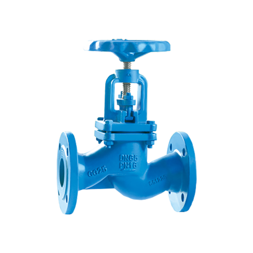 Globe Valve