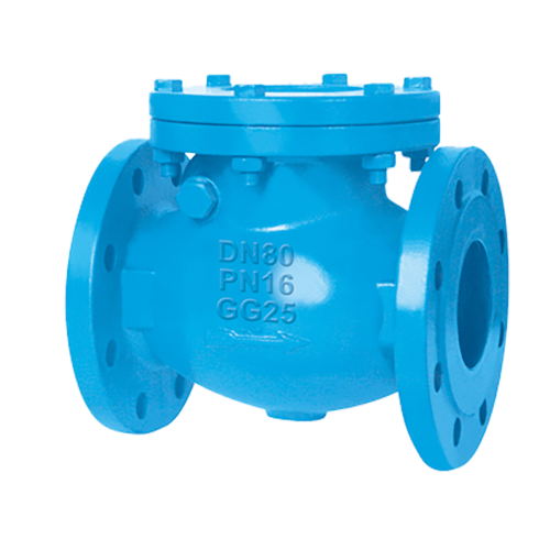 Swing Check Valve