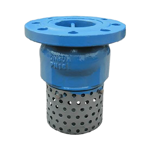 Foot Valve