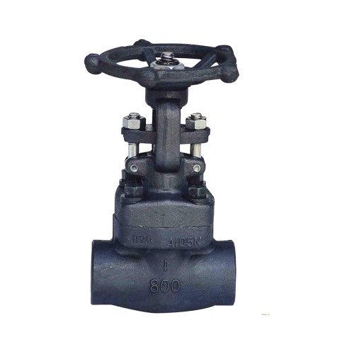 Forged Steel Globe Valves, Threaded-SW-BW
