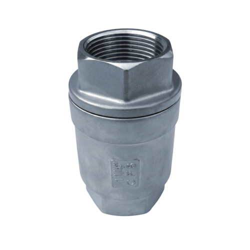 Spring Vertical Check Valve